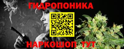 кокс Бийск