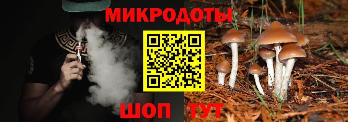 Псилоцибиновые грибы Psilocybine cubensis  магазин    Вход с VPN  Кинель  Псилоцибиновые грибы прущие грибы 